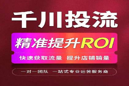 竞价广告的创意与执行：某快消品的营销突破